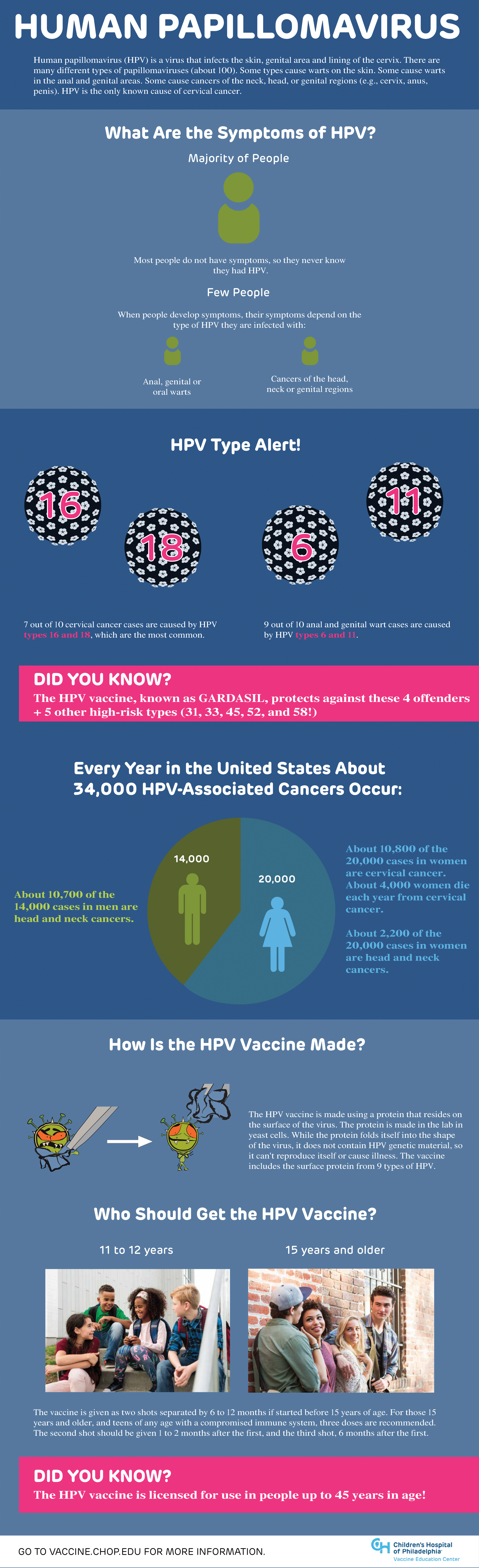 CHOP HPV Infographic